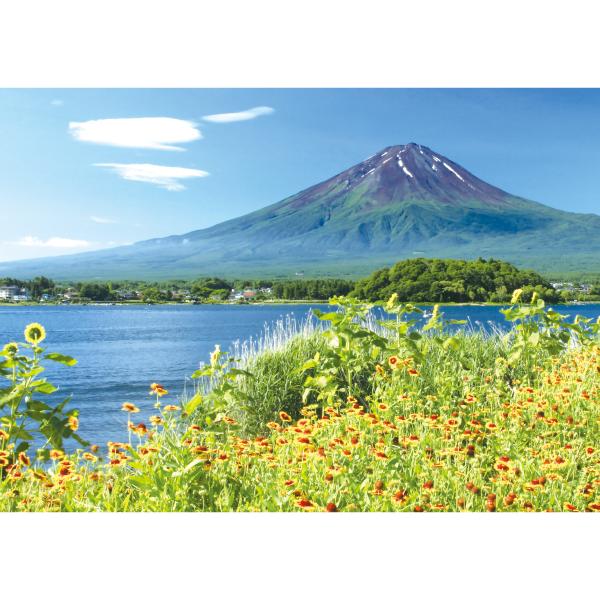 お風呂ポスター河口湖畔の花と富士山b2 短期貼替タイプ 水貼素材 Buyee 日本代购平台 产品购物网站大全 Buyee一站式代购bot Online