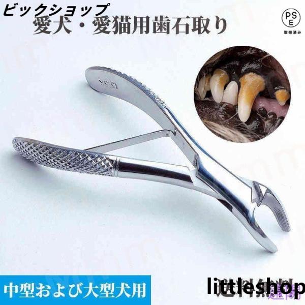 今、愛犬愛猫の歯石問題でお悩みの方が急増 しています。歯石は、放っておくと口臭だけではなく、歯肉炎等引き起こし、愛犬愛猫の健康に多大な影響を及ぼします。一度ついてしまった歯石はハミガキで取り除くことはできません。かといって、放っておくとます...