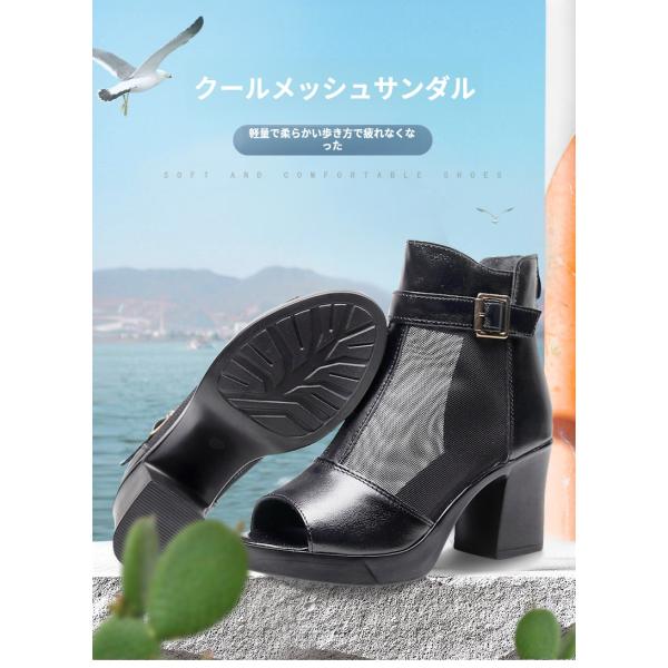 littleshop_syuuzu18-4260