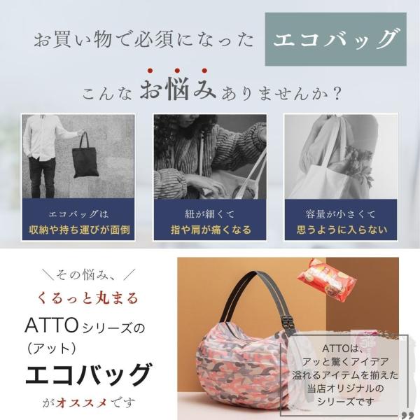 littlestep1002_int-121_2_d_20241104073219