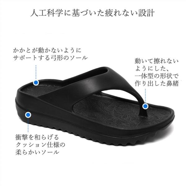 littlestep1002_int-320_4_d_20240508113052