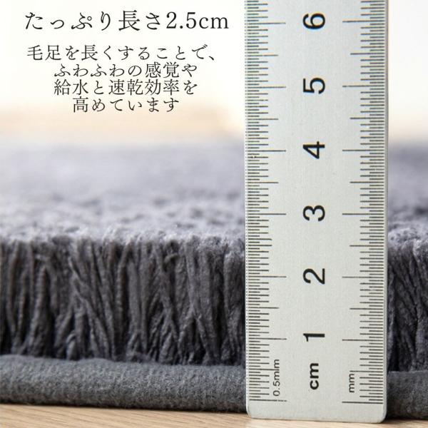 littlestep1002_int-540_4_d_20251216111632