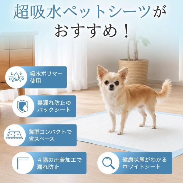littlestep1002_int-798_2_d_20260708181310