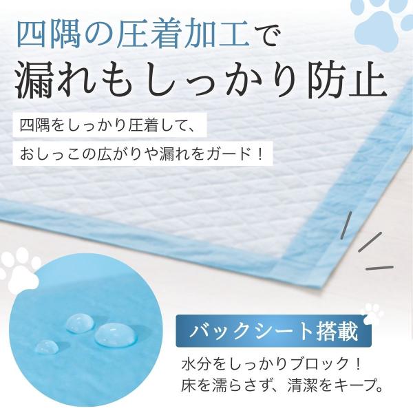 littlestep1002_int-798_4_d_20260708181312