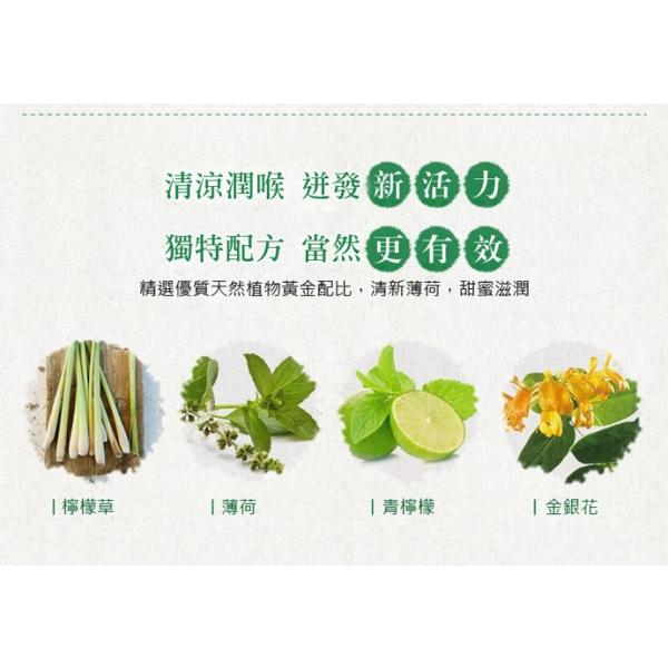 京都念慈菴 台湾 のど飴 レモングラス味 金銀花潤喉糖 檸檬草味 のどあめ 60ｇ 人気のお土産 Buyee Buyee 日本の通販商品 オークションの代理入札 代理購入