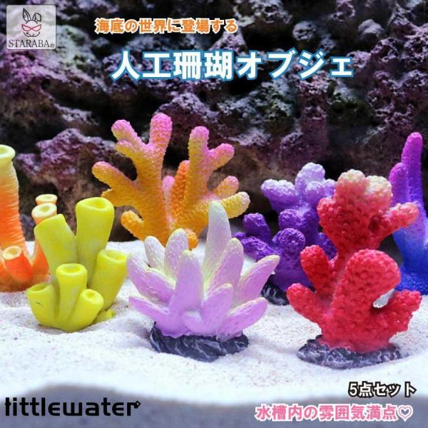 珊瑚 能面 5セット