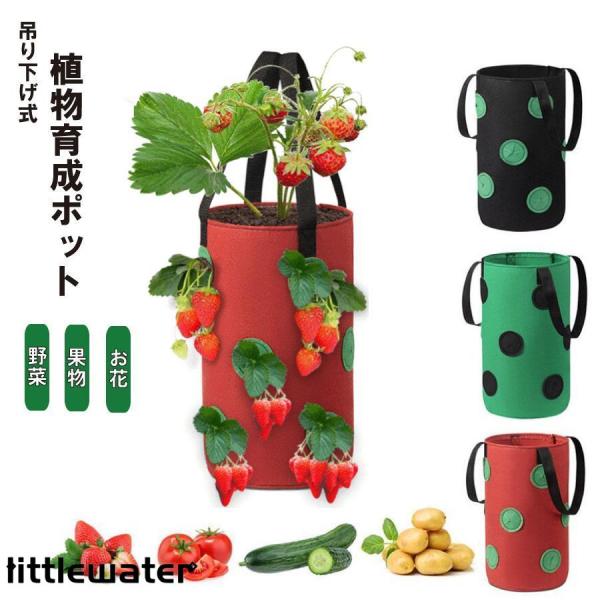 1.成長バッグの2/3に植物に優しい培養土と堆肥を入れ、上部に4つの健康なイチゴ、側面に8つのイチゴを植えます。 2.中央にそっと水を注ぎ、すべての根に水を広げます。サイドプラントに数回水をやります。 3.イチゴの植物は、毎日6~8時間の日...