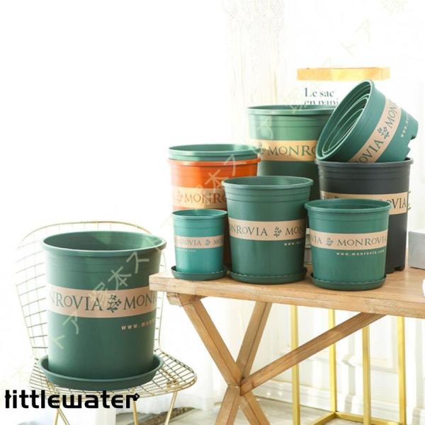 littlewater_ltw24929-skbt374