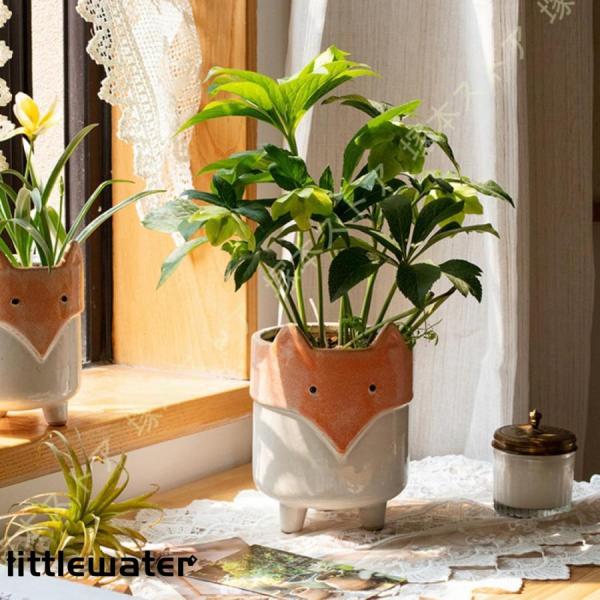 littlewater_ltw24929-skbt686