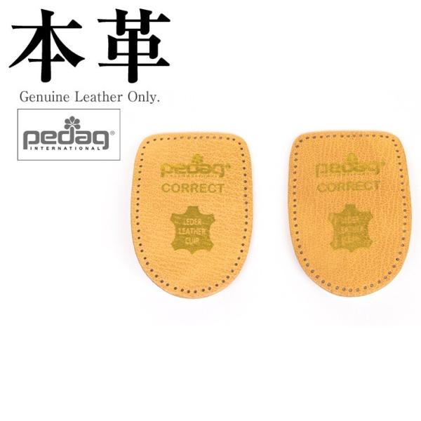 RNg fB[X {v y_bN ART129-LADYS  U[PApi V[PApi vĈɖ{vXXX邩SI U[WPbg