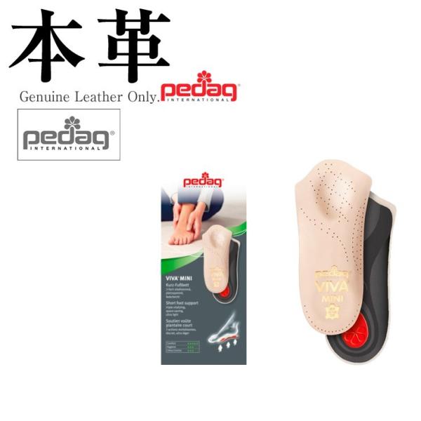 ro~j fB[X {v y_bN ART179-LADYS  U[PApi V[PApi vĈɖ{vXXX邩SI U[WPbg