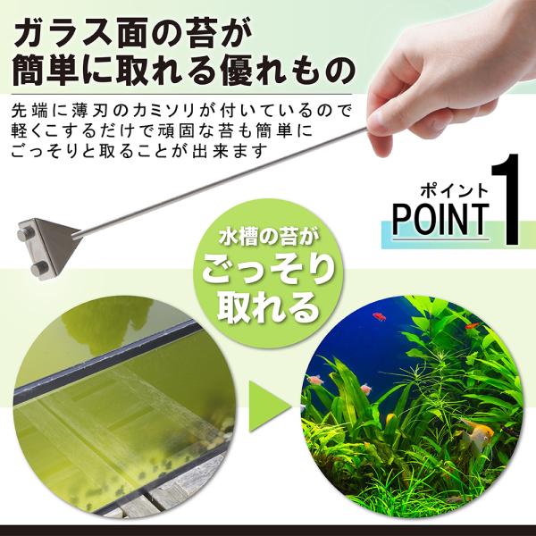 livecare_yh20220120_3