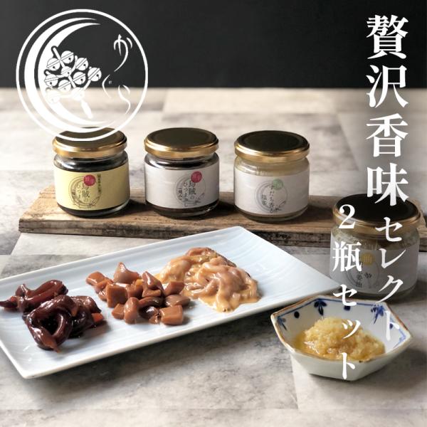 選べる おつまみ ギフト 2瓶セット お酒のおつまみ ご飯のお供 塩辛 烏賊 ひつまぶし 輪切り 刻み 葱生姜油 無添加 瓶詰め ギフトセット プレゼント