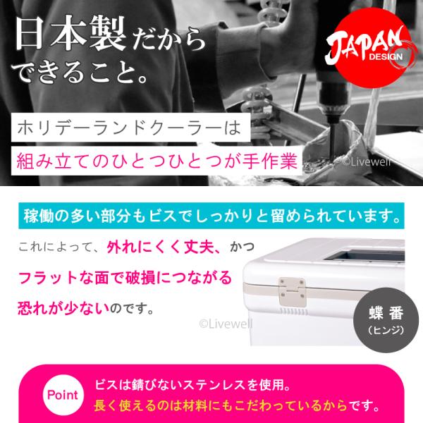 livewell_970000076_5_d_20251101170752