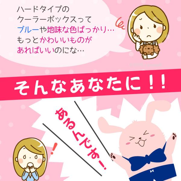 クーラーボックス 小型 保冷力 おしゃれ かわいい 部活 釣り ナチュールクーラー15l Buyee Buyee Jasa Perwakilan Pembelian Barang Online Di Jepang