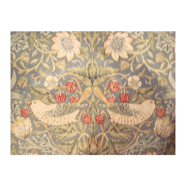 EBAX ǂڂ strawberry thief 314 EBAXnP50PʃJbg̔