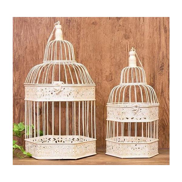 AG t[Xg o[hP[W wLTS Zp 召Zbg  ACA zCg AeB[N Vr[VbN AWg NBC903HX-Gld