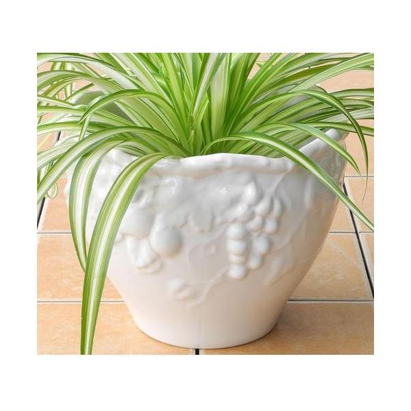 |gK AG A v^[ t[|bg ꌊ uhE  zCg K[fjO A Aؔ 22cm~` PSU-H8701W