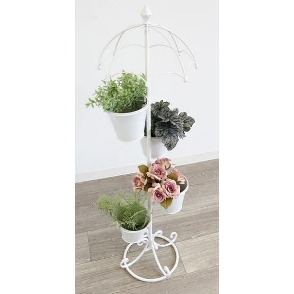 AƋ v^[ t[|bg v^[X^h zCg ACA Vr[VbN AeB[N NVbN t` K[fjO 1807IFH005