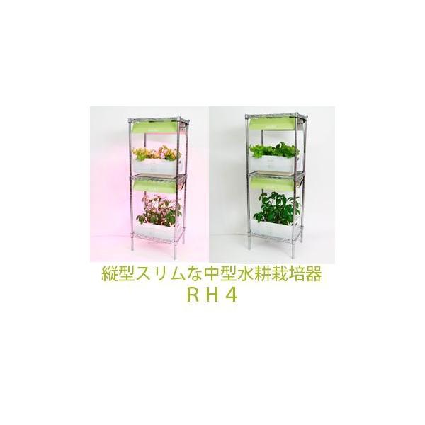 k͔|Lbg ^Rg4
