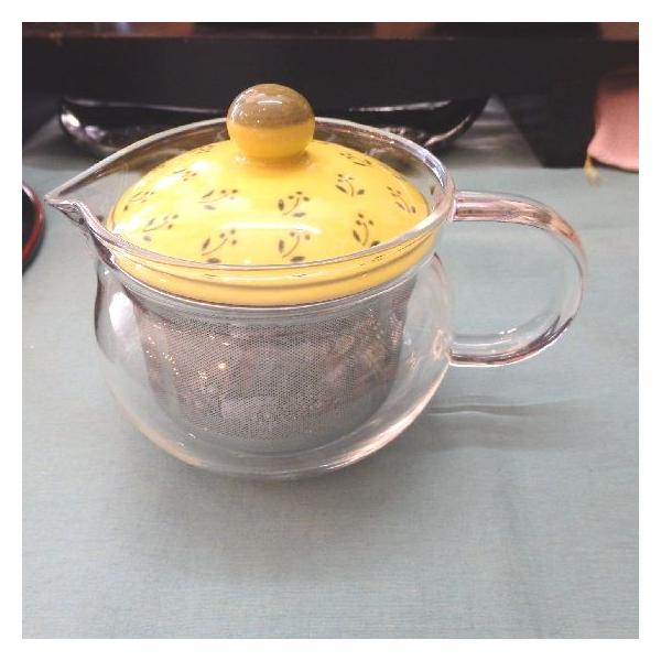 茶器 急須 ガラスの人気商品 通販 価格比較 価格 Com