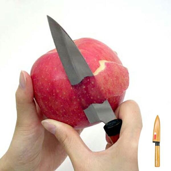 ʕiCt@؏t[ciCt@Tt@XeX@{ i ʕ yeBiCt ق傤  j