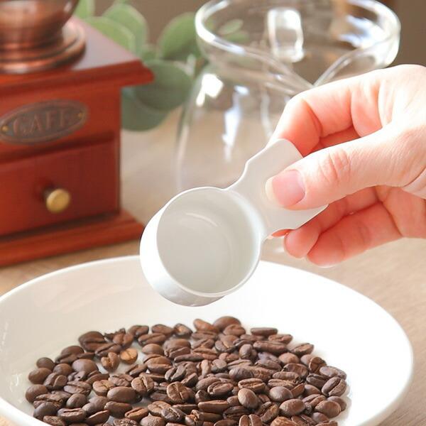 R[q[W[Jbv V[g u blanc vʃXv[ XeX z[[ { i R[q[ Xv[ v 10g R[q[W[  j