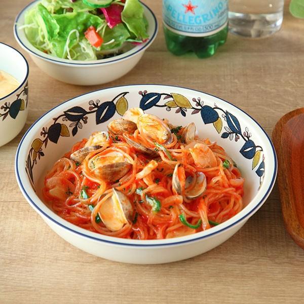 カレー＆パスタ皿 22cm ラッシュ LUSH 皿 食器 洋食器 硬質陶器 日本製