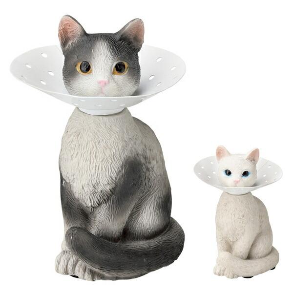 ANZT[X^h sAXz_[ L [ }Olbg n` i ANZT[P[X ANZT[[ sAX[ j