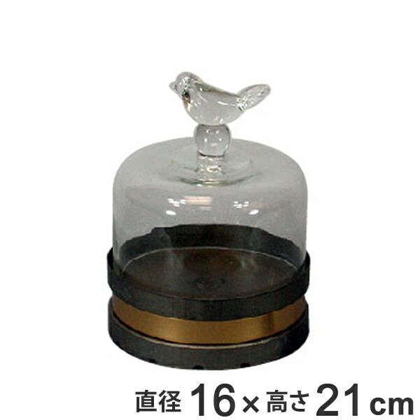 K[f I[ig KX 21cm i K[fG CeA G j