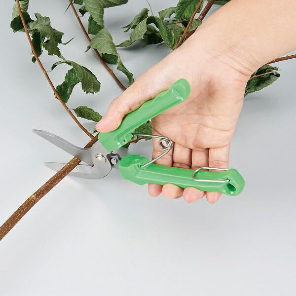 e傲  nT~ ړI}WbN͂ i \͂ p  ͂  j