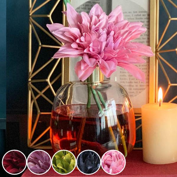 fBt[U[ A} _A  _g DULTON i[tOX A}fBt[U[ [hfBt[U[ F j