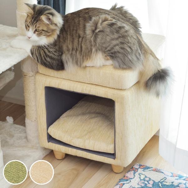 ybgXc[ Xc[ ybg nEX ybgp p` NbV  i ybgnEX  L lR ֎q `FA ybgpnEX j