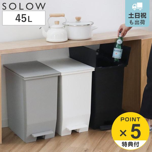ゴミ箱 45l 分別 Solow ソロウ 抗菌加工 45リットル ふた付き キッチン ダストボックス ごみ箱 分別ゴミ箱 抗菌 防汚 加工 ペダル式 棚下 リビングート Paypayモール店 通販 Paypayモール