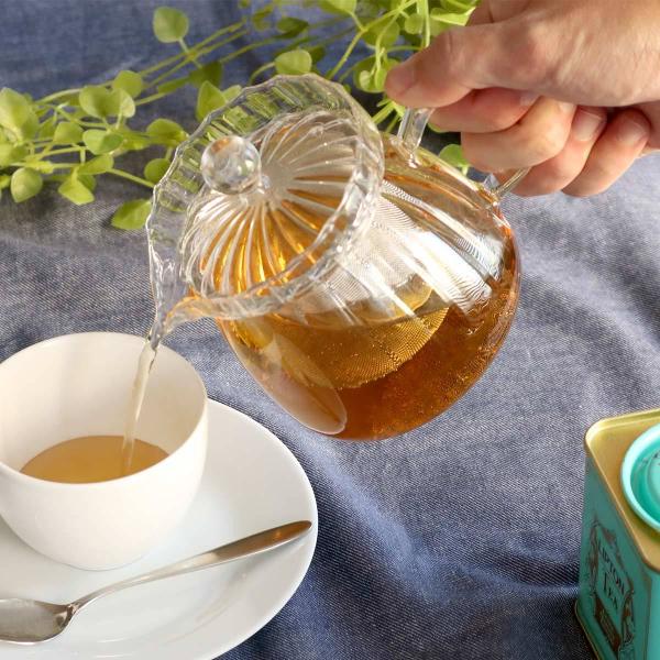 eB[|bg 450ml t t ϔMKX i dqWΉ g|bg Xg[i[  eB[T[o[ g j