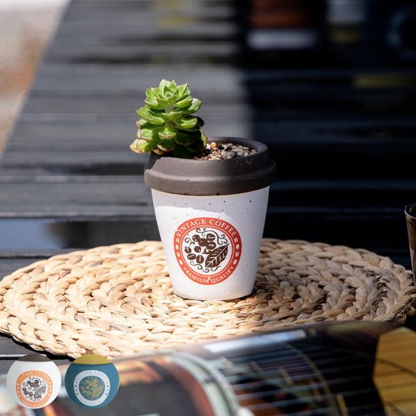 v^[ A|e t[|bgB STCY i Aؔ vg|bg Zg|bg   j