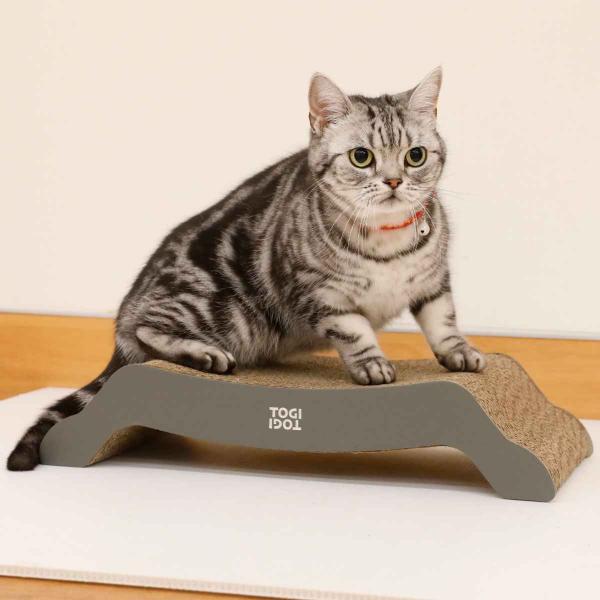 U[܂Ƃ TOGITOGI xbh hachi i L ˂ lR ܂Ƃ i{[ U[ Lpi j