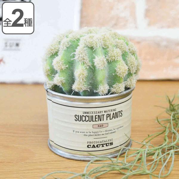 tFCNO[ TINTLg G} i ~j   L ϗtA tFCN  A T{e j