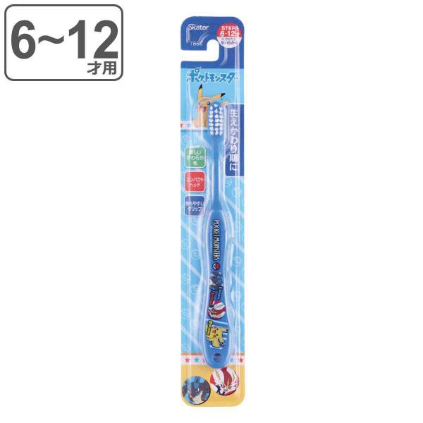 uV q wp 6`12 |PbgX^[ i sJ`E |P qpuV qǂpuV wpuV 15.5cm j