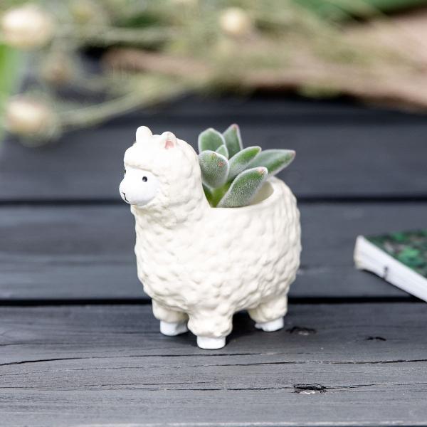 v^[ bV[Y ApJ i Aؔ vg|bg Ap|bg ~j|bg |bg  b 1 j