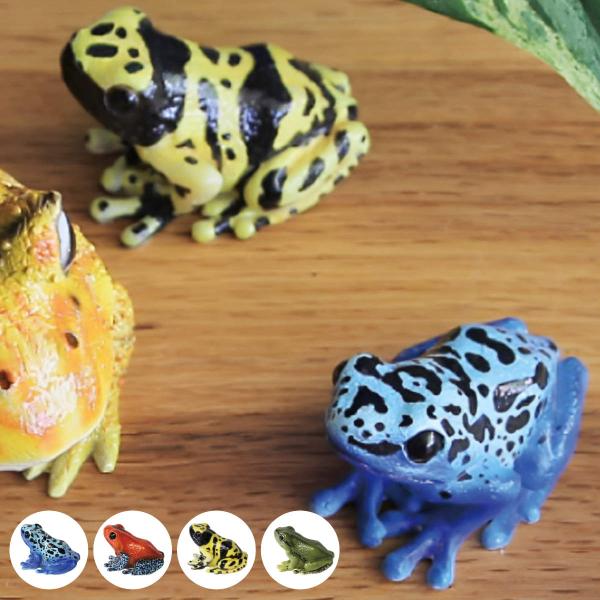 magnet オブジェ REPTILES MAG ヤドクガエル アマガエル