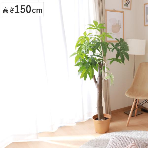 フェイクグリーン　バキラ 人工観葉植物 150cm livingut_457910