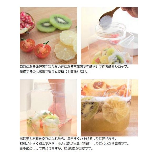 酵素シロップ手作りセット はじめての酵素シロップ 果実酒容器 スリムジャグ シロップ漉し レシピカード 保存容器 酵素シロップ 手づくり Buyee Servis Zakupok Tretim Licom Buyee Pokupajte V Yaponii
