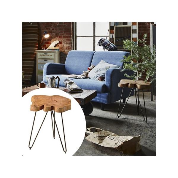 TChe[u N C P 40cm i VRؐ Jg[ j