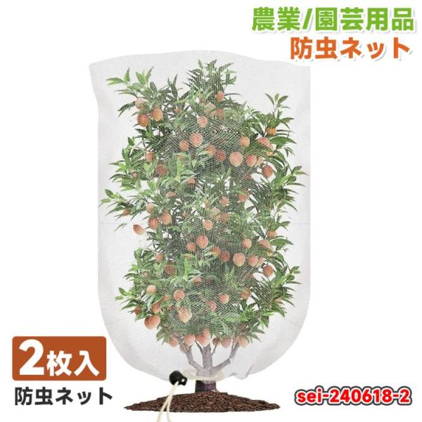 防虫ネット 園芸ネット 防鳥ネット 2枚入り 80cm*120cm 植物保護 野菜栽培 害虫の侵入を 保温 防霜 風通し 家庭菜園 畑 透明 ホワイト lx00520-80cm