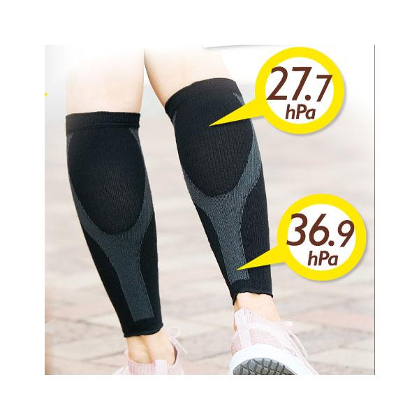 Z@@X^g ӂ͂T|[^[2@[֑