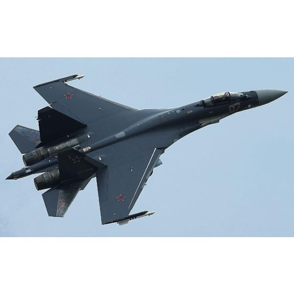 ハセガワ Su-35S フランカー 1/72スケール 【E44】 : エルエルハット