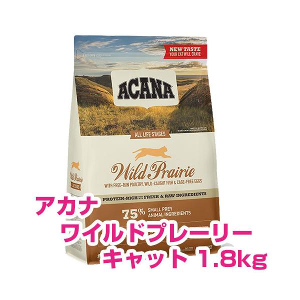 AJi ChvC[Lbg PDW Lbgt[h yKiz