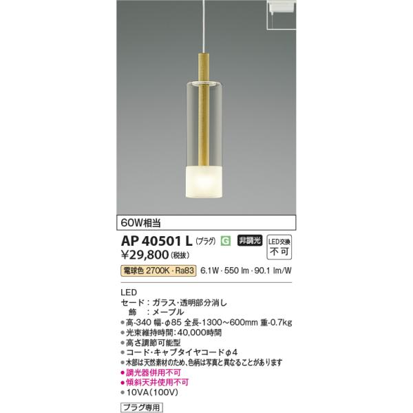 KOIZUMI AP40501L ペンダントライト LED一体型 非調光 60W相当 電気