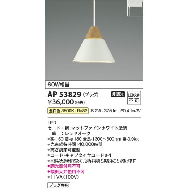 KOIZUMI（コイズミ） AP53829 ペンダントライト LED一体型 非調光 60W